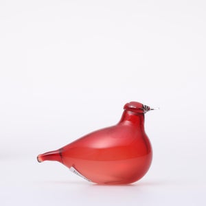 Birds Little Tern クランベリー 1727