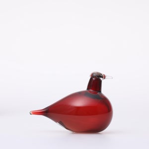 Birds Little Tern クランベリー 1728