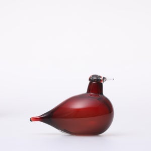 Birds Little Tern クランベリー 1731