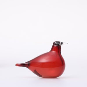 Birds Little Tern クランベリー 1732