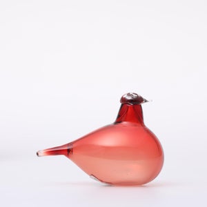 Birds Little Tern クランベリー 1733