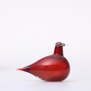 Birds Little Tern クランベリー 1734