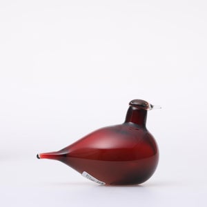 Birds Little Tern クランベリー 1735