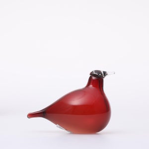 Birds Little Tern クランベリー 1737