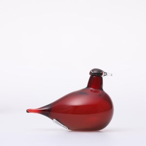 Birds Little Tern クランベリー 1739