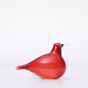 Birds Little Tern クランベリー 1740