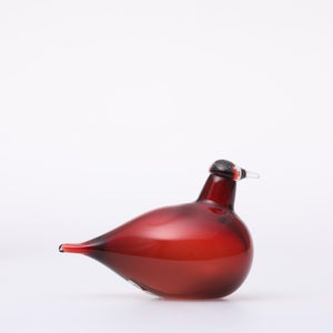 Birds Little Tern クランベリー 1742