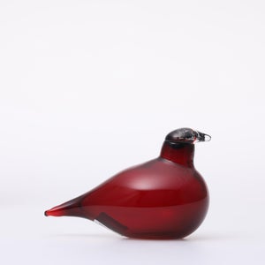 Birds Little Tern クランベリー 1743