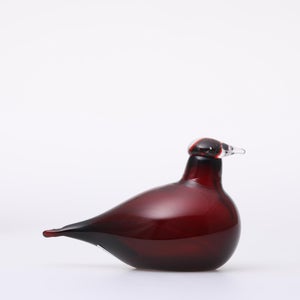 Birds Little Tern クランベリー 1744