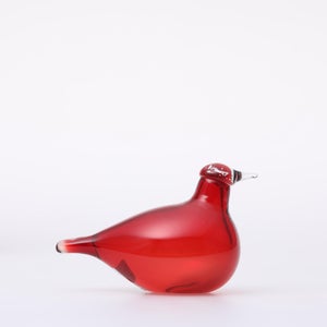 Birds Little Tern クランベリー 1745