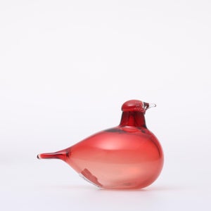 Birds Little Tern クランベリー 1746