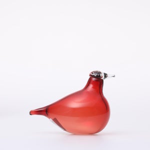 Birds Little Tern クランベリー 1748