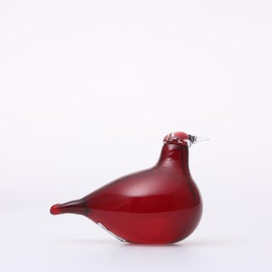 Birds Little Tern クランベリー 1749