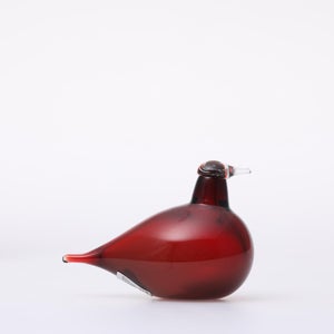 Birds Little Tern クランベリー 1750