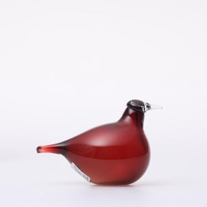 Birds Little Tern クランベリー 1752