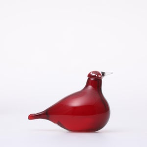 Birds Little Tern クランベリー 1754