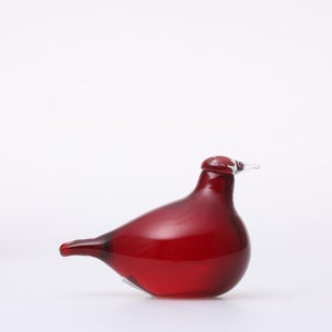 Birds Little Tern クランベリー 1756