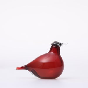 Birds Little Tern クランベリー 1761