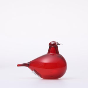 Birds Little Tern クランベリー 1763