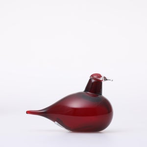 Birds Little Tern クランベリー 1766