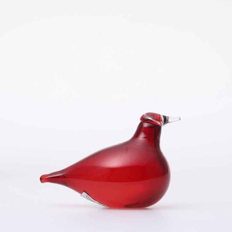 イッタラバード リトルターン Little Tern クランベリー　scope Birds by Toikka | Little Tern | iittala