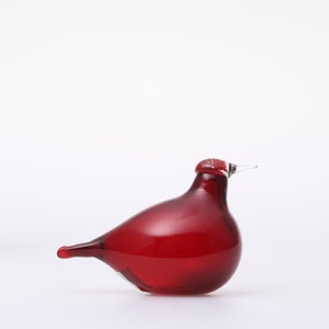 Birds Little Tern クランベリー 1768