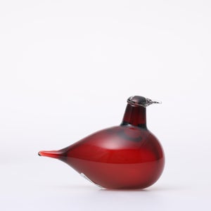 Birds Little Tern クランベリー 1769