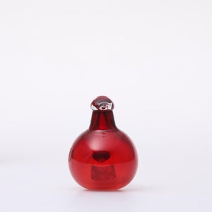 Birds Little Tern クランベリー 1557