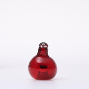 Birds Little Tern クランベリー 1662