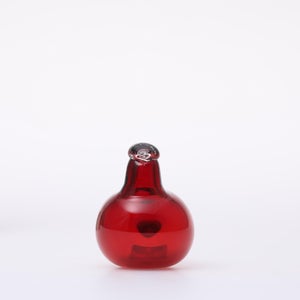 Birds Little Tern クランベリー 1664