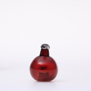 Birds Little Tern クランベリー 1728