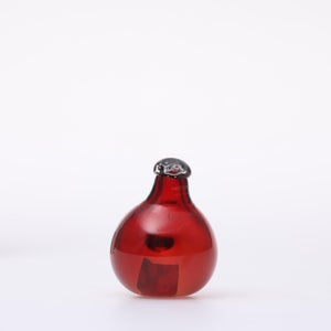 Birds Little Tern クランベリー 1729