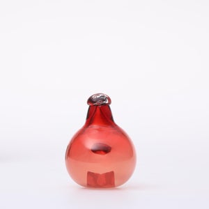 Birds Little Tern クランベリー 1733