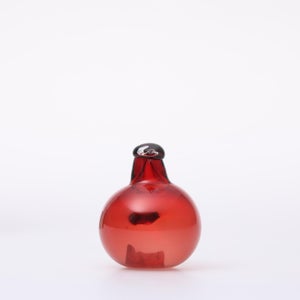 Birds Little Tern クランベリー 1751