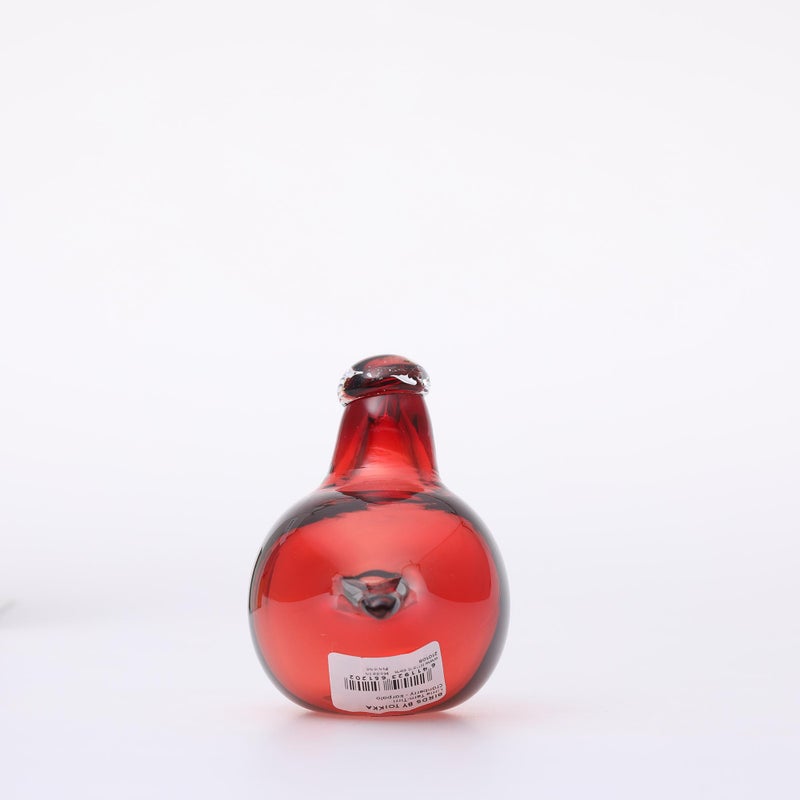 little tern　リトルターン　レイン　イッタラバード　オイバトイッカ little tern リトルターン レイン イッタラバード