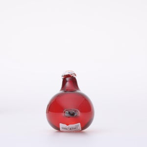 Birds Little Tern クランベリー 1609