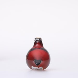 Birds Little Tern クランベリー 1718