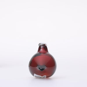 Birds Little Tern クランベリー 1736