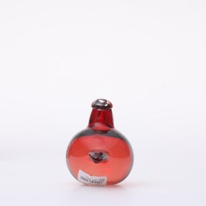 Birds Little Tern クランベリー 1741