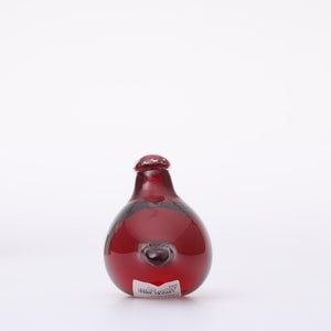 Birds Little Tern クランベリー 1756