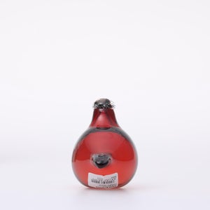 Birds Little Tern クランベリー 1762