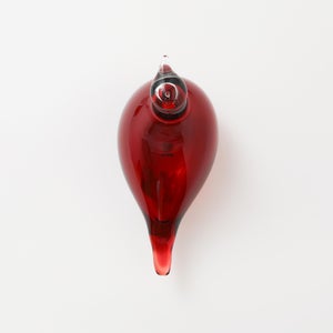 Birds Little Tern クランベリー 1373