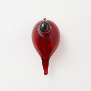 Birds Little Tern クランベリー 1390