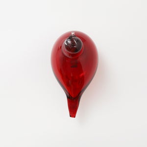 Birds Little Tern クランベリー 1551