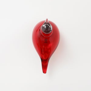 Birds Little Tern クランベリー 1557