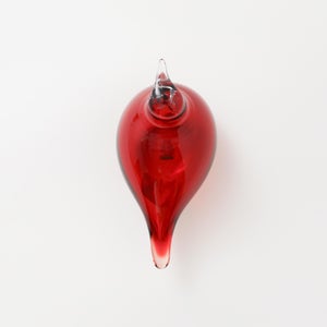 Birds Little Tern クランベリー 1558