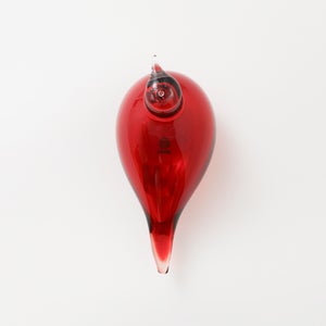 Birds Little Tern クランベリー 1564