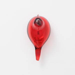 Birds Little Tern クランベリー 1643