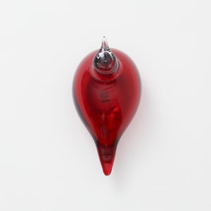 Birds Little Tern クランベリー 1662