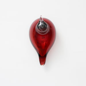 Birds Little Tern クランベリー 1718